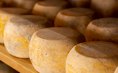 Rota do queijo